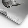 Bild auf Leinwand - Leinwandbild - Einteilig - Nashorn Produktbild-Vorschau 5