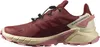 SALOMON SHOES SUPERCROSS 4 GTX W Cohid 000 Cow Produktbild-Vorschau 3