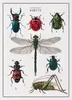 Thea Gouverneur Kreuzstich-Set „Die Geschichte der Insekten Produktbild-Vorschau 1