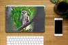 MuchoWow® Laptop Aufkleber Sticker Cover Eule auf Ast Produktbild-Vorschau 2