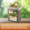 PANTO Winterbox 3kg - Wildvogelfutter Mix Streufutter und Produktbild-Vorschau 5
