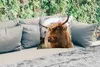 MuchoWow® Outdoor Kissen - Schottisches Hochlandrind - Produktbild-Vorschau 2