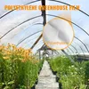 Inside a greenhouse with rows of plants and a clear polyethylene film covering the structure. Podgląd zdjęcia produktu