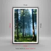 Gerahmtes Poster - Schwarzer Rahmen - Wald Dämmerung die Produktbild-Vorschau 5