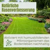 Blumendünger Naturdünger mit Rinderdung 12,5 Kg Produktbild-Vorschau 4