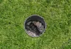 Gardena Pressure regulator - Tropfdruckregler - Drinnen - Produktbild-Vorschau 2