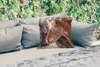 MuchoWow® Outdoor Kissen - Pferde - Natur - Makro - 50x50 Produktbild-Vorschau 2