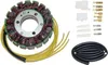 ElectroSport Stator ESG030 für Lichtmaschine Produktbild-Vorschau 2