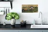 MuchoWow® Poster Pferde - Gras - Island 40x20 cm - Poster Produktbild-Vorschau 3