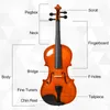 HOMCOM Violon 4/4 pleine grandeur avec étui, accordeur, Voir les images du produit 10