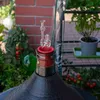 Weingärröhrchen Glas 2 Stück 8,5 mm Produktbild-Vorschau 6