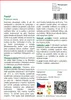 SAFLAX - pastýř - Primula veris - 100 Semena Náhled obrázku produktu 3