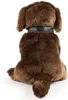 A brown plush dog sitting down, viewed from the back. Produktbild-Vorschau