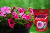 PLANTON S Mehrkomponentendünger für Surfinia und Petunia Produktbild-Vorschau 8