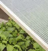 Windhager Gitterfolie, Transparent, 100 g/m², 3 x 2 m, 6745 Produktbild-Vorschau 5