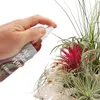 Nawóz do Tillandsia - gotowy do uzycia w butelce z Podgląd zdjęcia produktu 2