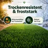 Premium Rasensamen  Sport&Spiel 2,5kg = 100m² Produktbild-Vorschau 7