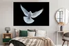 MuchoWow® Poster Taube - Vogel - Schwarz - Weiß - Porträt Produktbild-Vorschau 4
