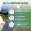 Gewächshausplatten 7 Stück 10mm Doppelsteg Polycarbonat Produktbild-Vorschau 6
