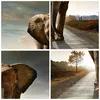 Poster - Poster ohne Rahmen - Elefant Straße Landschaft - Produktbild-Vorschau 8