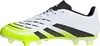 Schuhe Adidas Predator FG/MG für Herren Produktbild-Vorschau 21