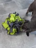 TrendPet palla da fiuto, verde, legata a mano, gioco di Anteprima dell’immagine prodotto 4