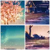 Bilder auf glas - Baum Haus Nacht Sterne - 40x40cm - Produktbild-Vorschau 8