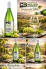 Weinhaus Müller Bornheim  1 L Flasche  Pfälzer Riesling Produktbild-Vorschau 3