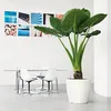 LECHUZA-Vase à plantes CLASSICO Premium LS 50 Rouge Scarlet Voir les images du produit 7