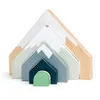 Tender Leaf Toys, Torre di blocchi a forma di passo di Anteprima dell’immagine prodotto 1