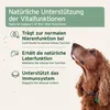 AniForte Ägyptisches Schwarzkümmelöl für Hunde & Pferde Produktbild-Vorschau 3