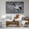 Bild auf Leinwand - Leinwandbild - Pferd Tier Natur - Produktbild-Vorschau 6