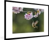 MuchoWow® Gerahmtes Poster Vogel - Blüte - Kolibri 90x60 cm Produktbild-Vorschau 1