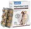 HepatoSan 1600 120 Tab. Produktbild-Vorschau 1