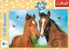 TREFL Puzzle Niedliche Tiere: Pferdepaar 54 Teile Produktbild-Vorschau 2