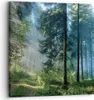 Bild auf Leinwand - Leinwandbild - Einteilig - Wald Produktbild-Vorschau 1