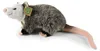 Plüsch Opossum 27 cm ECO-FRIENDLY Produktbild-Vorschau 5