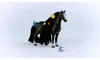 Horse Club Sofia''s Beauties Beauty Horse Quarter Horse Produktbild-Vorschau 11
