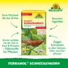 Neudorff Ferramol Schneckenkorn 500g für 100 m² gegen Produktbild-Vorschau 3