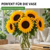 Sonnenblumen Einfache Riesen Samen - Helianthus annuus - Produktbild-Vorschau 7