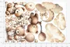 Wandaufkleber Kinderzimmer – Wandsticker für Baby & Kinder Produktbild-Vorschau 5