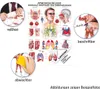 Atmungsorgane Mini-Poster Anatomie 34x24 cm medizinische Produktbild-Vorschau 2