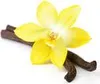 A yellow vanilla orchid with two vanilla beans. Produktbild-Vorschau