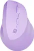 Natec NATEC Crake 2 mouse universale destro RF senza fili + Anteprima dell’immagine prodotto 3