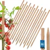 KOTARBAU® 15 Pièces Tuteur Tomate Bois de Hêtre 50 cm Voir les images du produit 1