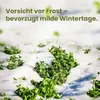 LERAVA® Klee samen [mähfrei] 125m² - Mikroklee Samen für Produktbild-Vorschau 5