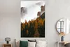 MuchoWow® Poster Kiefer - Herbst - Berg - Landschaft Produktbild-Vorschau 4