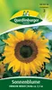 Sonnenblume, Einfache Riesen Produktbild-Vorschau 5