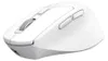 Trust Niven, rechts, RF Wireless + Bluetooth, 3200 DPI, Produktbild-Vorschau 2