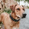 Hunter Halsband Sioux, Größe: 50 cm / Breite: 3,9 cm Produktbild-Vorschau 7